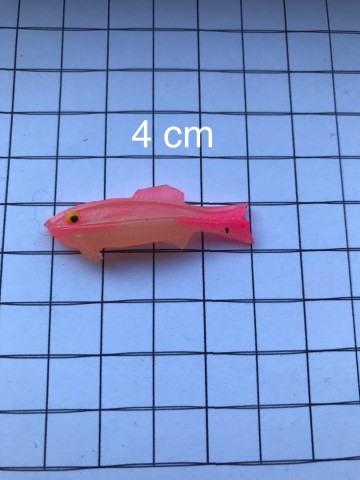 F7cab4c6 f5df 44f8 8294 65d895a133f31201a